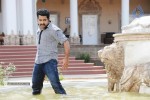 Dammu Movie Wallpapers - 13 of 16