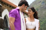 Gayakudu Movie New Photos - 6 of 13