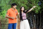 Jalsa Rayudu Movie Stills - 5 of 8