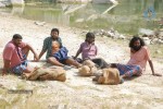 Kannukulle Tamil Movie Photos - 33 of 80