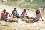 Kannukulle Tamil Movie Photos - 79 of 80