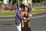 Maa Annayya Bangaram Movie Gallery - 33 of 75