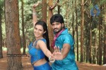 Mallikattu Tamil Movie Stills - 36 of 85