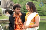 Manchivadu Movie New Stills  - 21 of 67