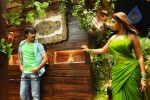 Mirapakaya Movie Stills - 27 of 36