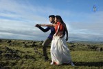 Naayak Movie Gallery - 21 of 144