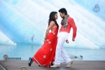 Naayak Movie Gallery - 22 of 144