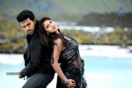 Naayak Movie Gallery - 120 of 144