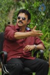 Namovenkatesa Venkatesh Stills - 8 of 98