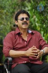 Namovenkatesa Venkatesh Stills - 79 of 98