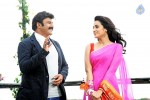 NBK Lion Movie Stills - 11 of 16