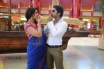 Osthi Movie Hot Stills - 14 of 14