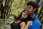 Panduvam Tamil Movie Stills - 30 of 52