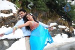 Raaj Movie Latest Stills - 1 of 14