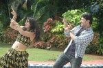 Sakshi Movie Spicy Stills - 75 of 75