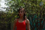 Sarena Movie Hot Stills - 23 of 46