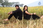 Teeyani Kalavo Movie Stills - 27 of 40