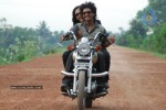 Timmaraju Movie Stills  - 5 of 51