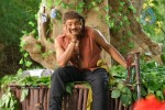 Timmaraju Movie Stills  - 40 of 51