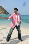 Colourful stills - Venkatesh,Trisha - Namo Venkatesa - 26 of 59