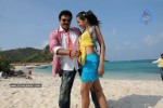 Colourful stills - Venkatesh,Trisha - Namo Venkatesa - 27 of 59