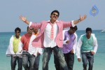 Colourful stills - Venkatesh,Trisha - Namo Venkatesa - 31 of 59