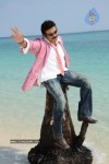 Colourful stills - Venkatesh,Trisha - Namo Venkatesa - 34 of 59