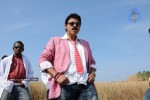 Colourful stills - Venkatesh,Trisha - Namo Venkatesa - 35 of 59