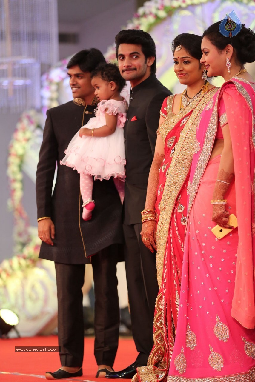 Aadi and Aruna Wedding Reception 01 - 73 / 119 photos