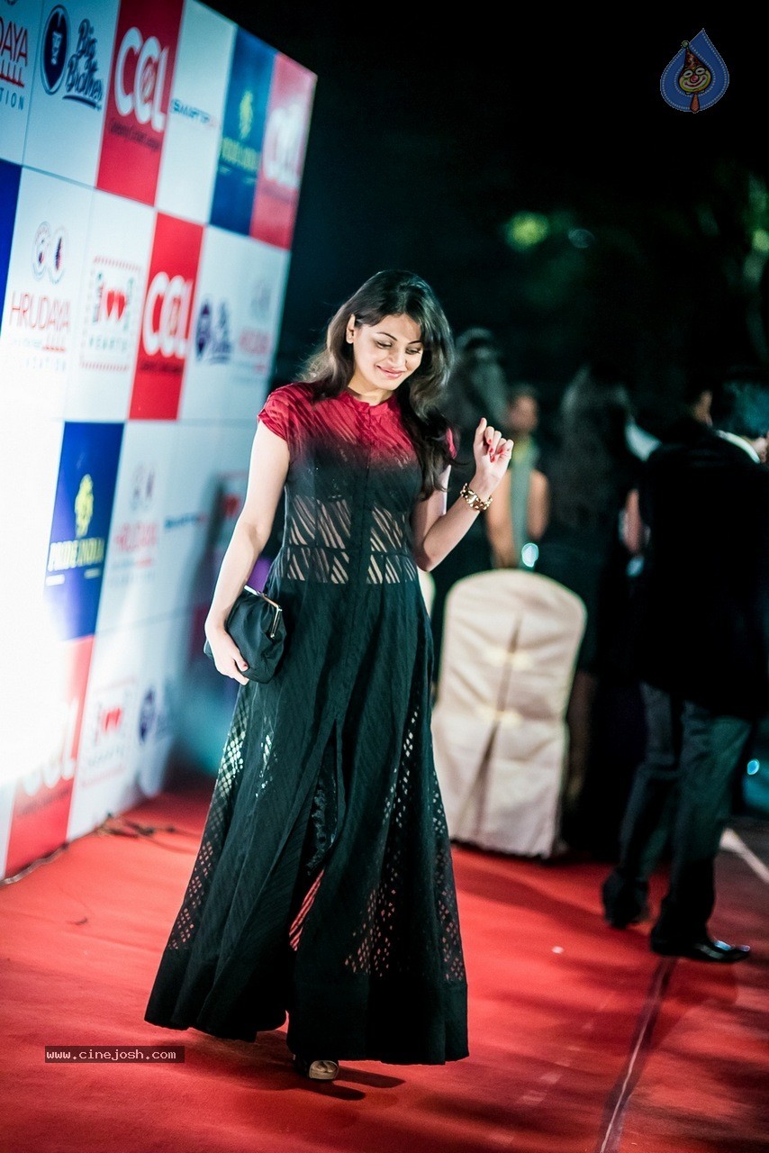 Celebs at Hundred Hearts Glamorous Charity Dinner 01 - 71 / 105 photos