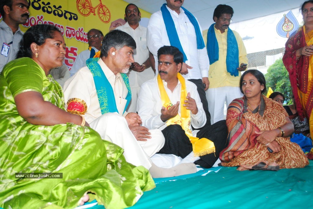 Chandrababu Indefinite Fast Photos - 19 / 83 photos