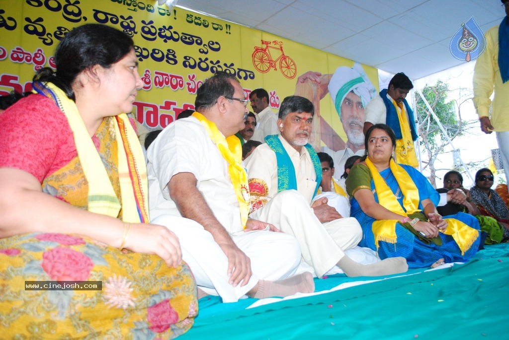 Chandrababu Indefinite Fast Photos - 40 / 83 photos