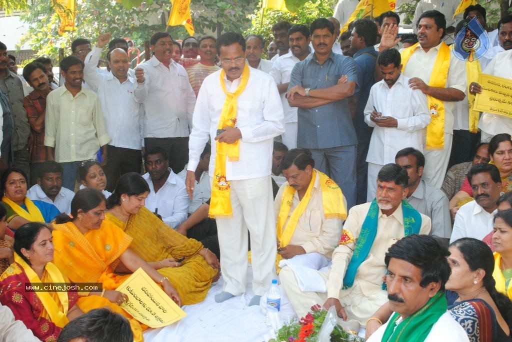 Chandrababu Indefinite Fast Photos - 41 / 83 photos