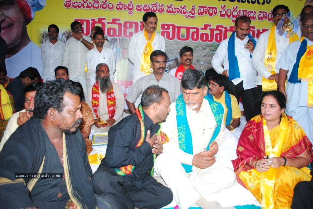 Chandrababu Indefinite Fast Photos - 49 / 83 photos