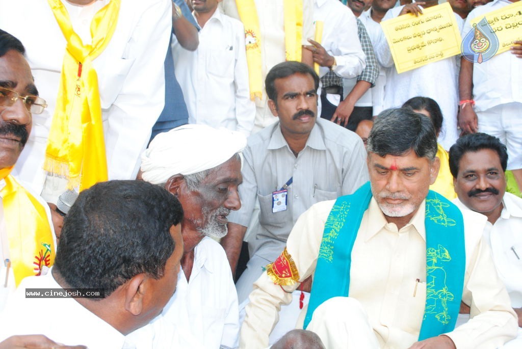 Chandrababu Indefinite Fast Photos - 60 / 83 photos