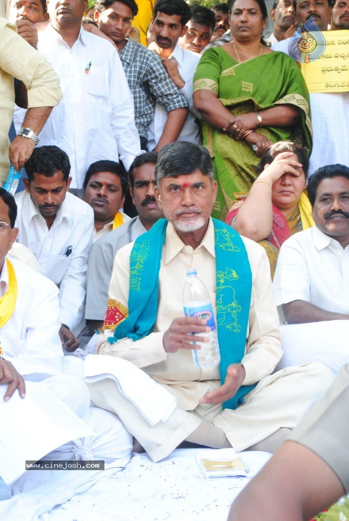 Chandrababu Indefinite Fast Photos - 62 / 83 photos