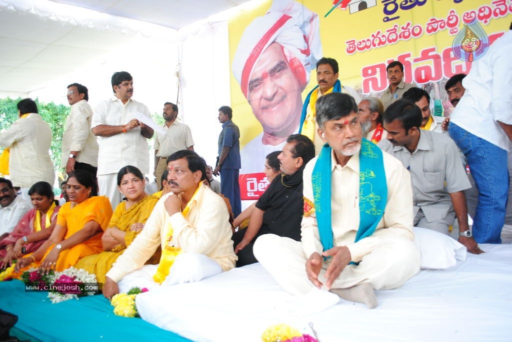 Chandrababu Indefinite Fast Photos - 67 / 83 photos