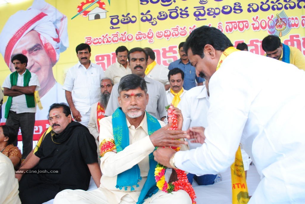 Chandrababu Indefinite Fast Photos - 70 / 83 photos