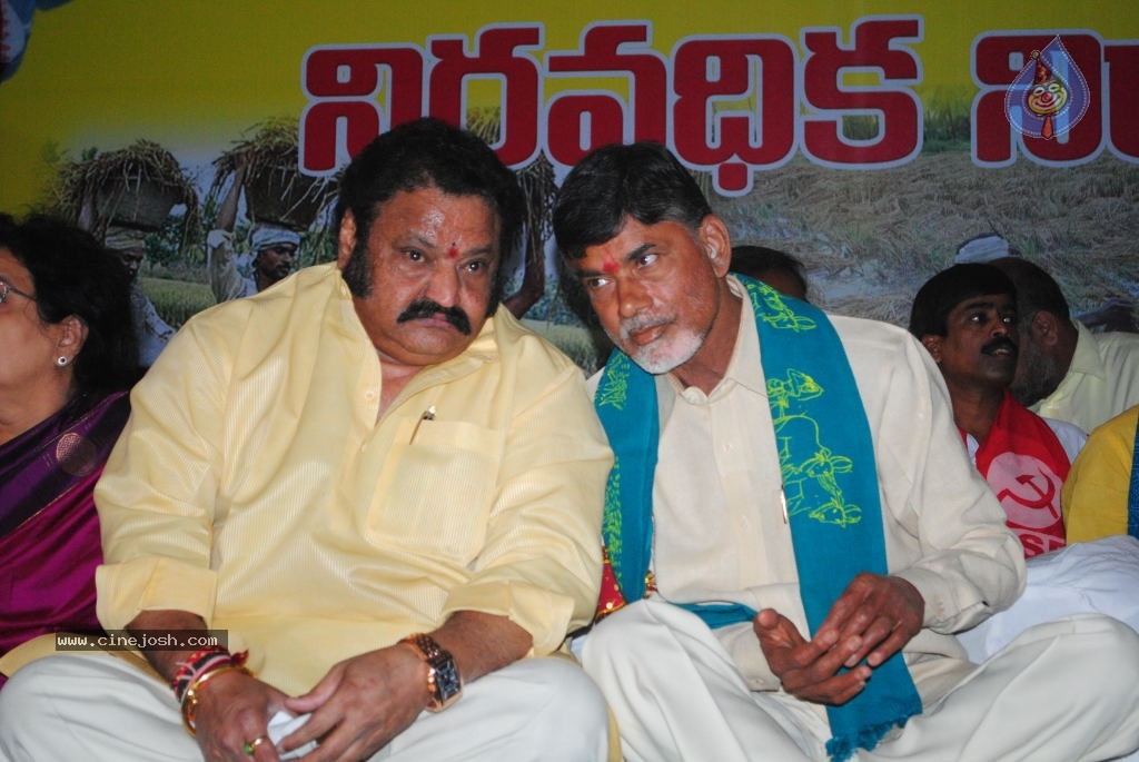 Chandrababu Indefinite Fast Photos - 73 / 83 photos