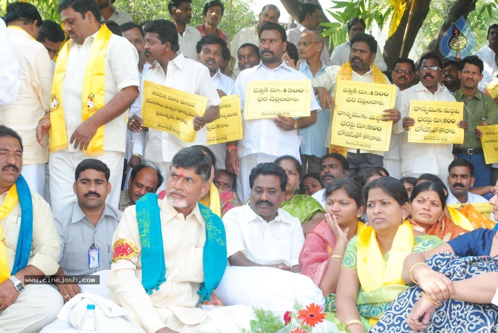 Chandrababu Indefinite Fast Photos - 82 / 83 photos