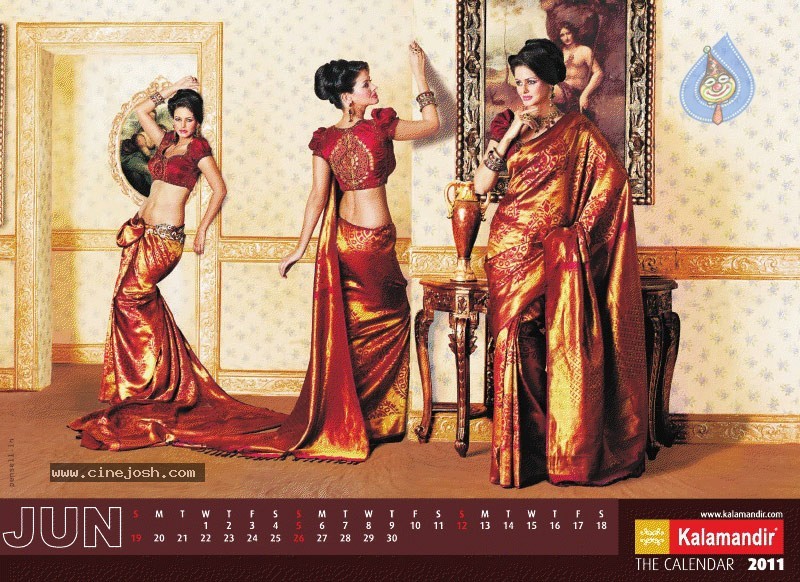 Kalamandir The Calendar 2011 - 1 / 13 photos