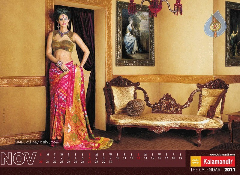 Kalamandir The Calendar 2011 - 3 / 13 photos