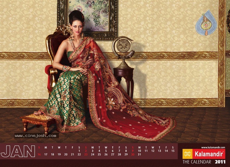 Kalamandir The Calendar 2011 - 5 / 13 photos