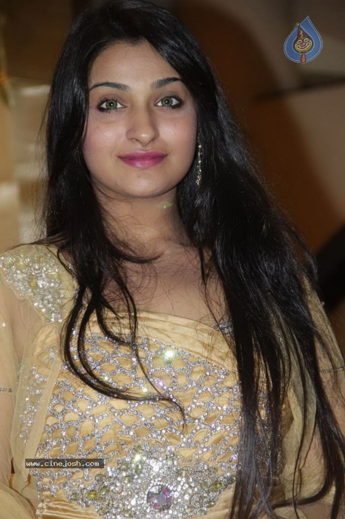 Lakshmi Ramakrishna Daughter Wedding Reception - 28 / 152 photos