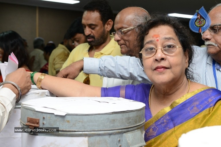 Maa Elections 2019 - 60 / 124 photos