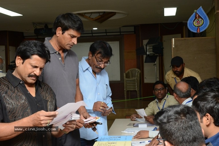 Maa Elections 2019 - 94 / 124 photos