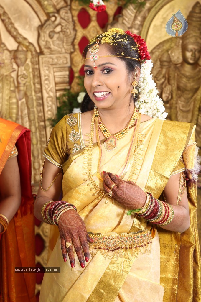 Rambabu Varma Daughter Marriage Photos - 6 / 38 photos