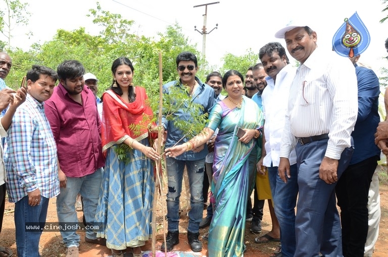 Shivani Birthday Celebrations - 26 / 42 photos