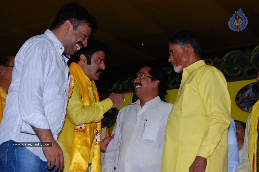 TDP Mahanadu 2013 Photos - 22 / 150 photos