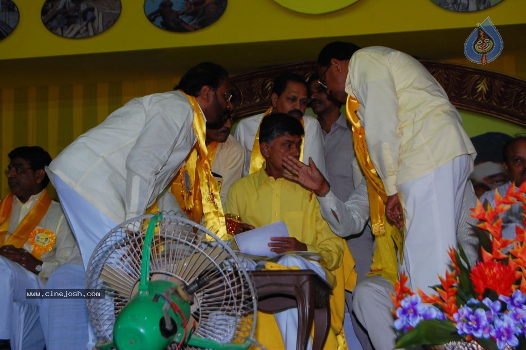 TDP Mahanadu 2013 Photos - 24 / 150 photos